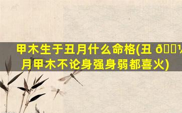 甲木生于丑月什么命格(丑 🌼 月甲木不论身强身弱都喜火)